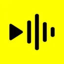 Reelsapp video trends