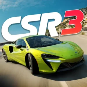 CSR 3
