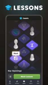 Chess