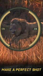 Hunting Rivals
